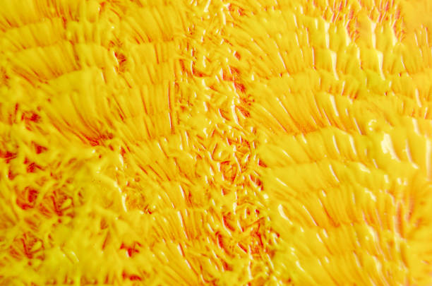 Top view of brush stroke watercolor with customizable space for text or use for wallpaper.