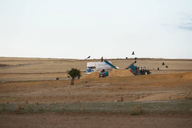 istock workers loading hay onto the truck, general shot of workers working, 2175247853