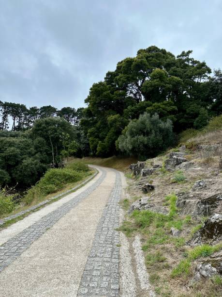 istock Path in the Baiona area. Galicia 2175258638