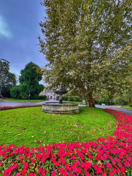 istock Fountain in Castrelos Park in Vigo 2175258714