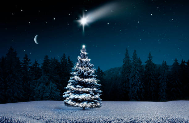 istock Christmas tree in cold winter night with lighted hut 2175263071