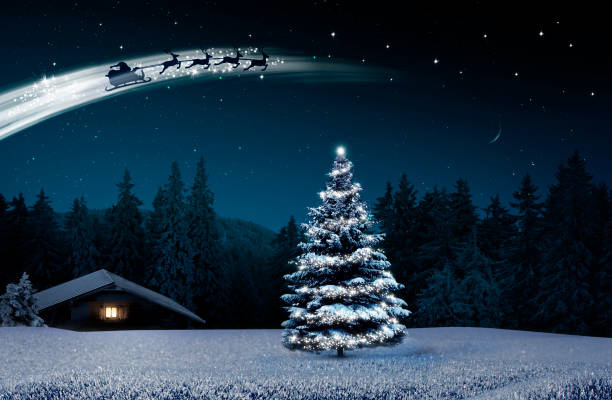 istock Christmas tree in cold winter night with lighted hut 2175263175