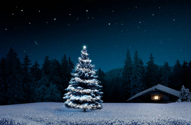 istock Christmas tree in cold winter night with lighted hut 2175263257