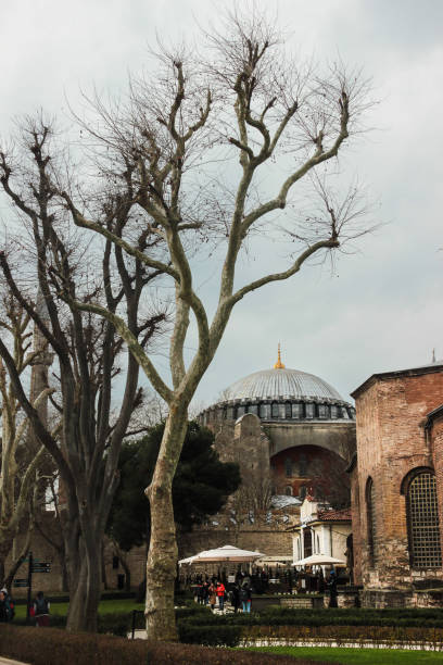 istock Hagia Sophia Behind Winter Trees 2175266832
