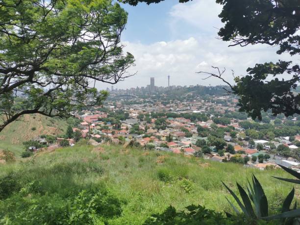 istock Johannesburg skyline 2175266868