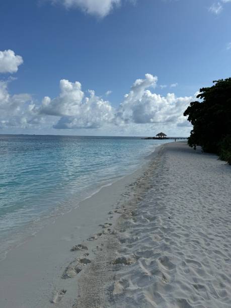 istock Honey moon at Maldives 2175279030
