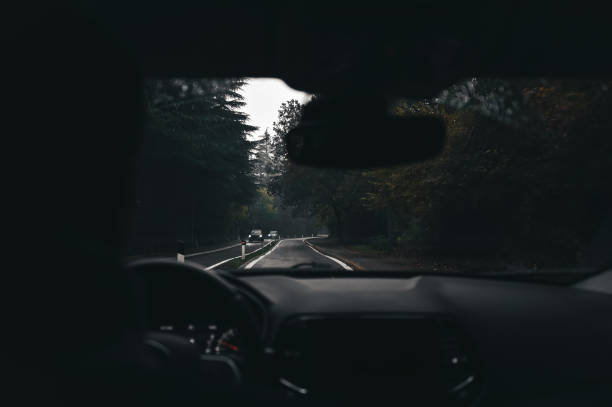 istock Driving car in dusk forest country road. 2175280884