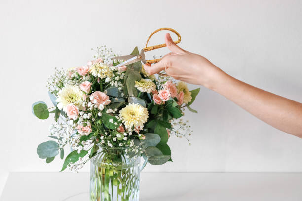 istock Florist Is Making A Flower Arrangement Using Pastel Colored Roses And Gerberas. Florist Arranging Flowers Bouquet Using Scissors In A Glass Vase. Basic of Fresh Flower Care & Handling. 2175280941