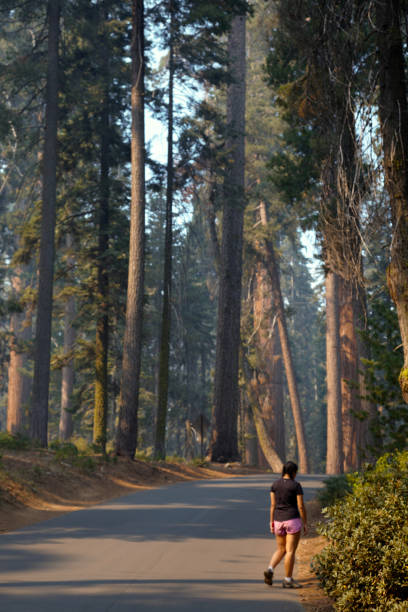 Girl hiking in Sequoia National Park.