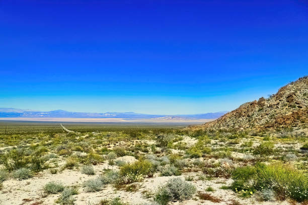istock Vast plain in the Mojave Desert coloured green after winter rain 2175294038