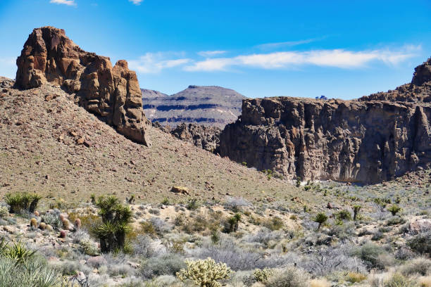 Towering rocks and huge scree slopes in the Mojave Desert, close to Hole-in-the-Wall, Mojave National Preserve, Providence Mountains, California, USA
