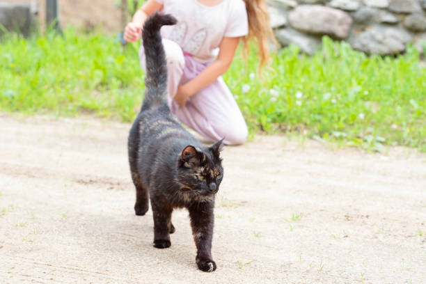 A joyful moment of a child holding a black-and-white pet cat in a lush green garden, highlighting companionship, tenderness, and the happiness of interacting with beloved pets in nature.