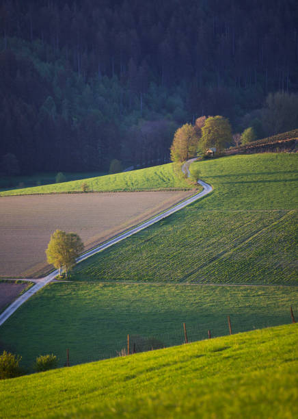 istock abstract pattern of early morning landscape in german sauerland 2175299106