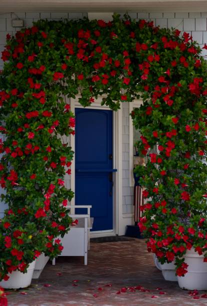 istock Flowering plants create a gateway to the front door 2175301177
