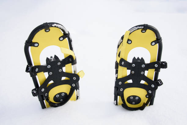 pair of yellow snowshoes sticking out of snowdrift, winter day, outdoor activities and sport, winter hiking, travel concept