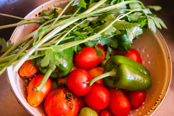 This is a color photograph of an assortment of vegetables and herbs freshly picked from an organic farm in New Jersey.