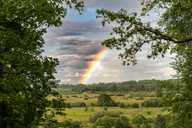 A colorful rainbow emerges over a serene countryside after rainfall.