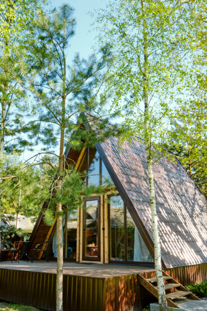 istock A-frame cabin nestled among tall trees in a serene forest during sunny daylight 2175307829