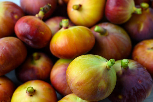istock Fresh fig fruits. Whole figs on dark background. 2175317477