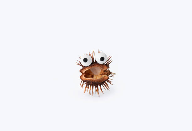Decorative fruit candy eyes with red nose over light blue background. Conceptual photo using for funny celebration themes.