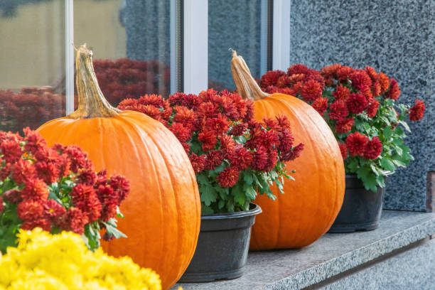 istock Autumn Porch Display with Pumpkins and Chrysanthemums 2175334645