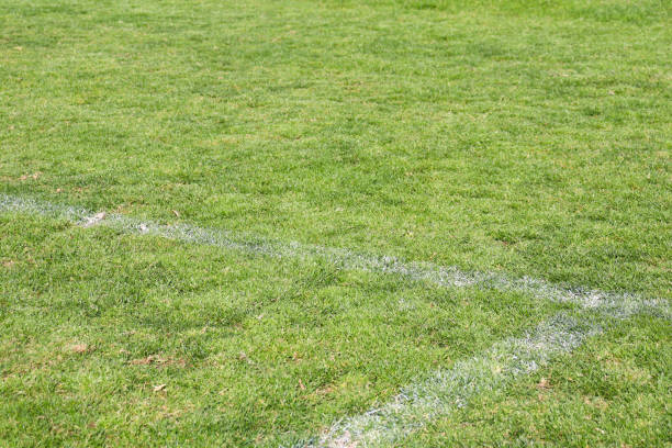 istock white sports field boundary lines in grass 2175336755