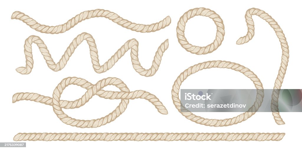 Design Notes With Rope Vector Set Design Elements With Rope Vector Rope Knot And Frame Stock ...