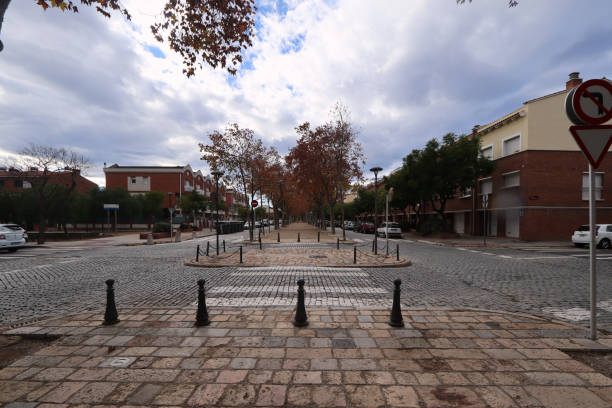 istock Tree-Lined Boulevard in Residential Neighborhood 2175339282
