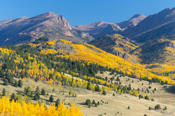 istock Autumn in  Colorado 2175346587