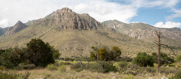 istock Guadalupe Mountains National Park 2175347439
