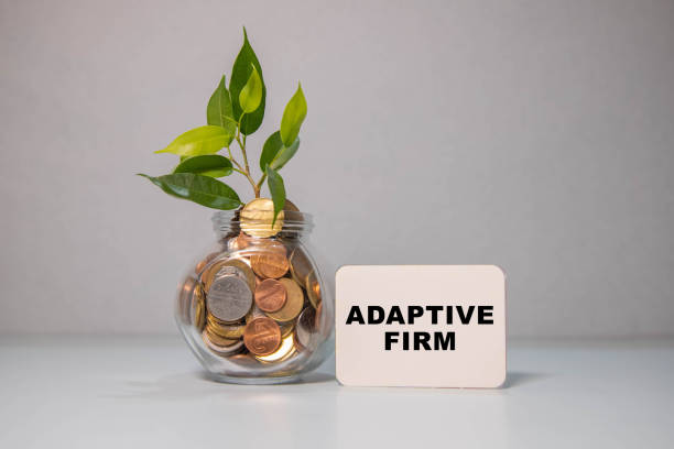 istock Close up view of document written with COMPANY NAME 2175348257