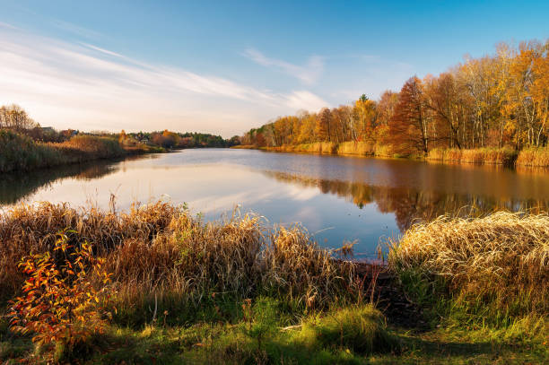 istock Golden Autumn Reflections on Serene Lake 2175348668