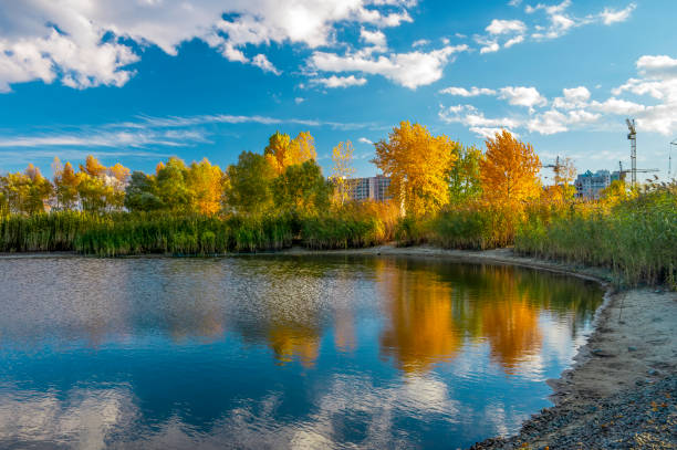 A serene autumn scene of a small lake surrounded by golden trees and reeds, with reflections of fall foliage and blue sky. City buildings and construction cranes visible in the background