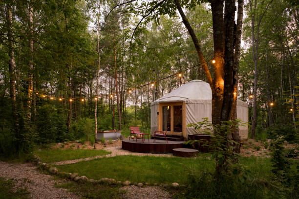 Beautiful yurt tent in forest