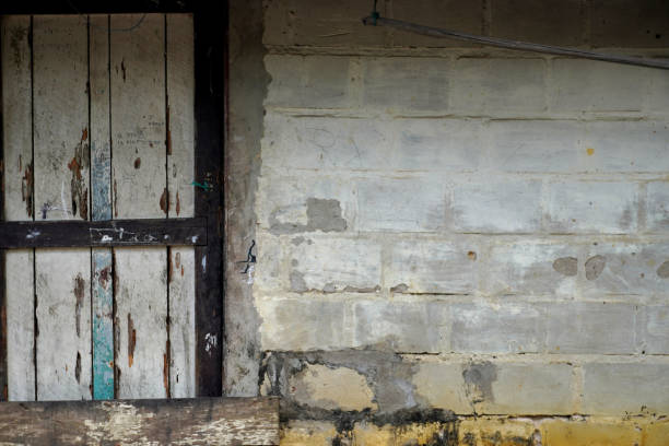 istock wooden doors 2175382940
