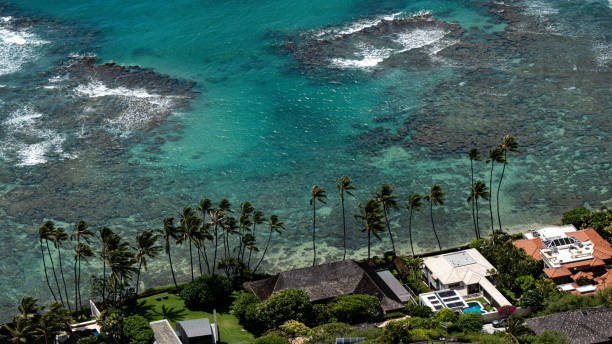 istock Living in Paradise 2175383922