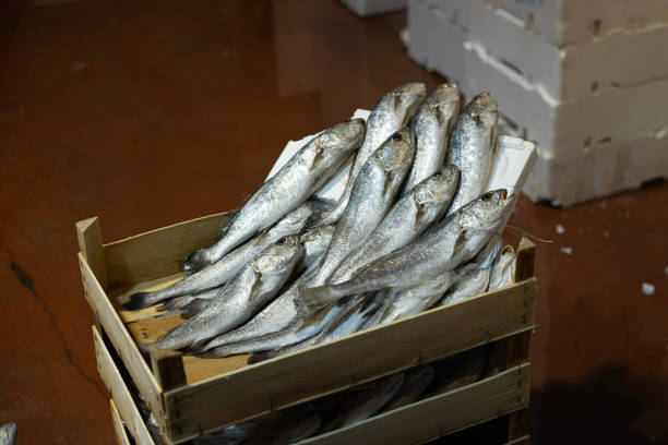 istock Various fish sold at the fish auction 2175386658