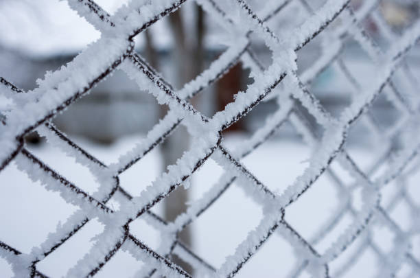 Frost sparkles on tree branches, frost creates icy patterns, and snow cover gives nature a winter wonderland.