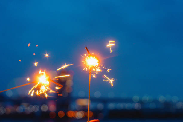 Fireworks while looking out at the ocean at a park in Toyosu