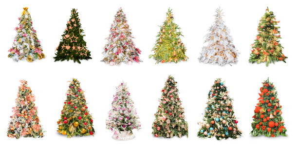 Fresh green pine trees in pots with red and white baubles decoration, Christmas market