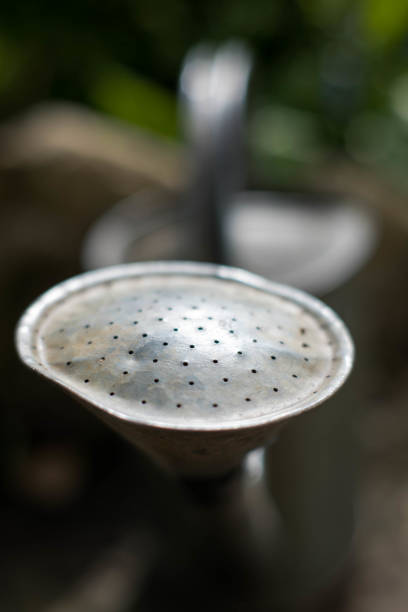 Metal garden watering can.