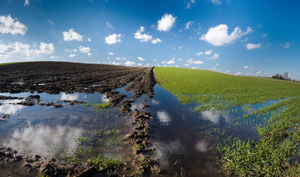 istock Spring flooding of agricultural fields, rainy spring. 2175396934