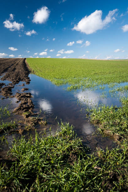 Spring flooding of agricultural fields, rainy spring.