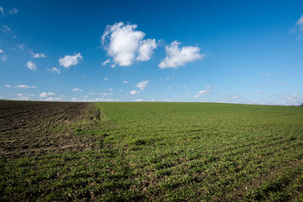 Farmland at the beginning of spring
