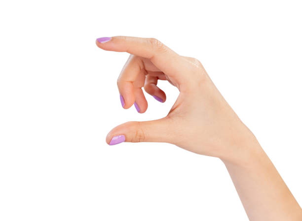 istock Clipping path, woman hand touching or pointing on isolated white background. 2175399524