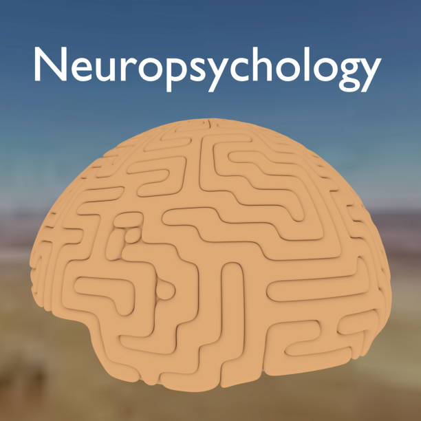 Neuropsychology - mental concept 3D illustration of a human brain, titled Neuropsychology. neuropsychology stock pictures, royalty-free photos & images