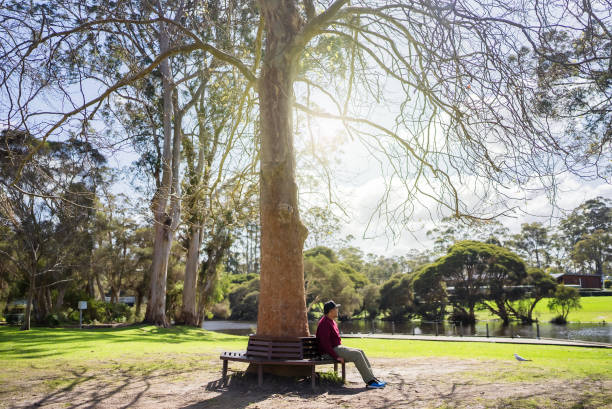 man  sitting on chair and looking at river
