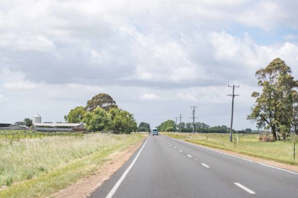 istock Scenic Drive Through Tree-Lined Country Road 2175406526