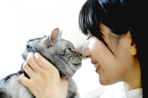 istock Beautiful young Asian woman touching a cat 2175411519