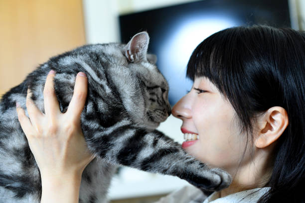 istock Beautiful young Asian woman touching a cat 2175411521